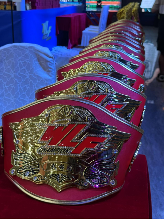 参与, 赛辽源站 参与, 赛辽源站